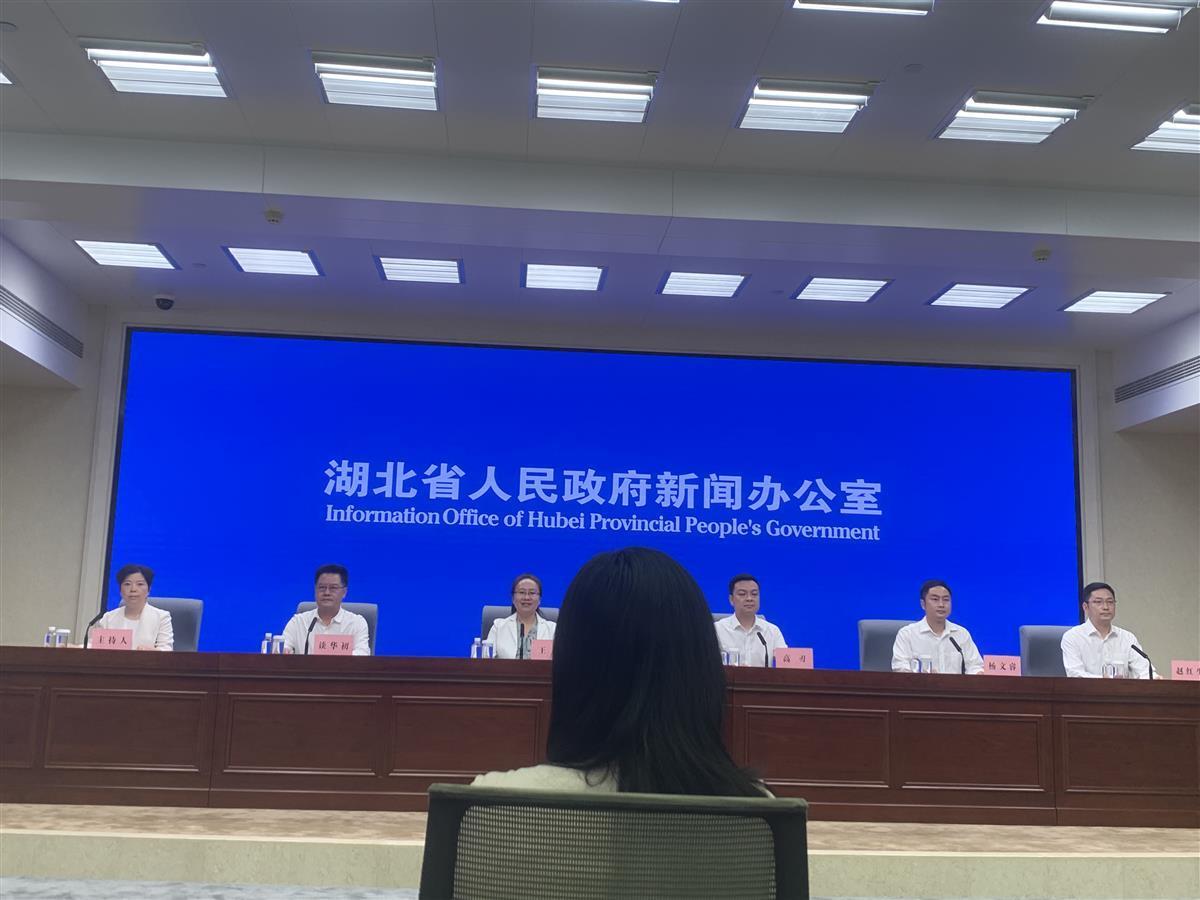 z6尊龙凯时，湖北：争取承接84项与重点优势产业相关国家标准修订