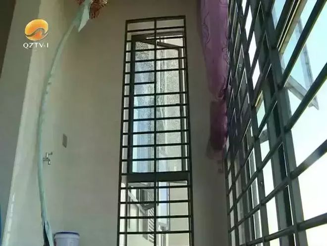 z6尊龙凯时，泉州鼎盛大观小区： 男子家住19楼 突然阳台传来一阵沙沙声…